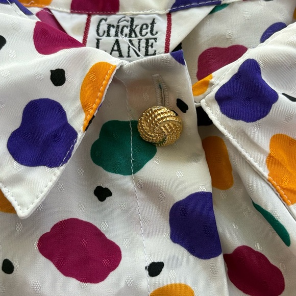 Vintage 80s Cricket Lane Colorful Spotted Satin Button Down Teachercore Top - Picture 4 of 5